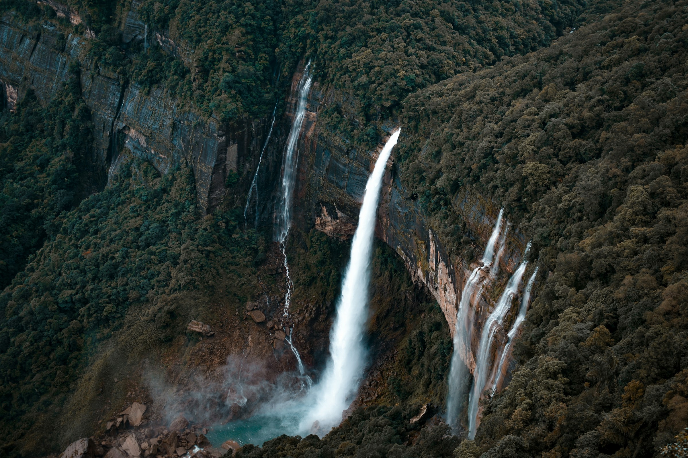 Blog Image 1