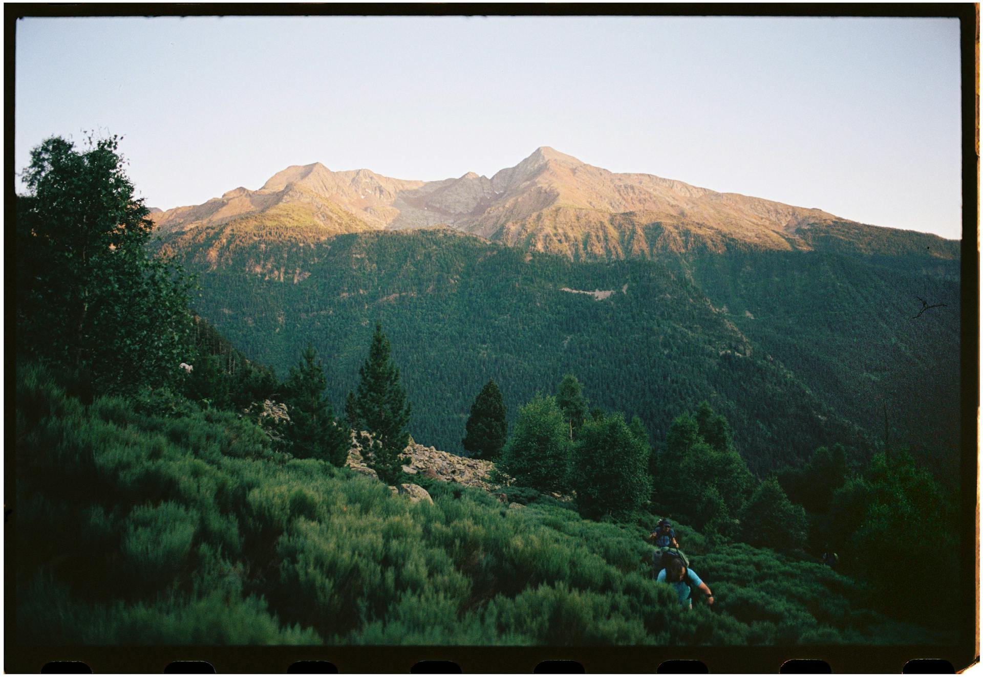 Blog Image 1